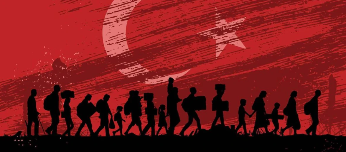 Araplaştırma ve Türkiye