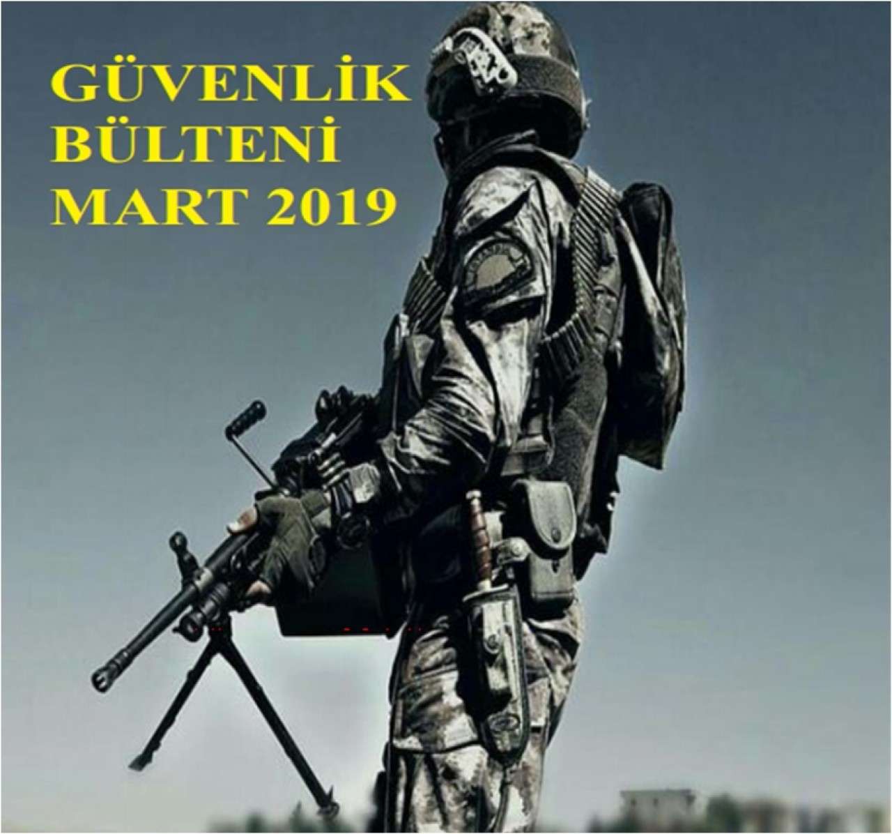 Aylık Güvenlik Bülteni - Mart 2019