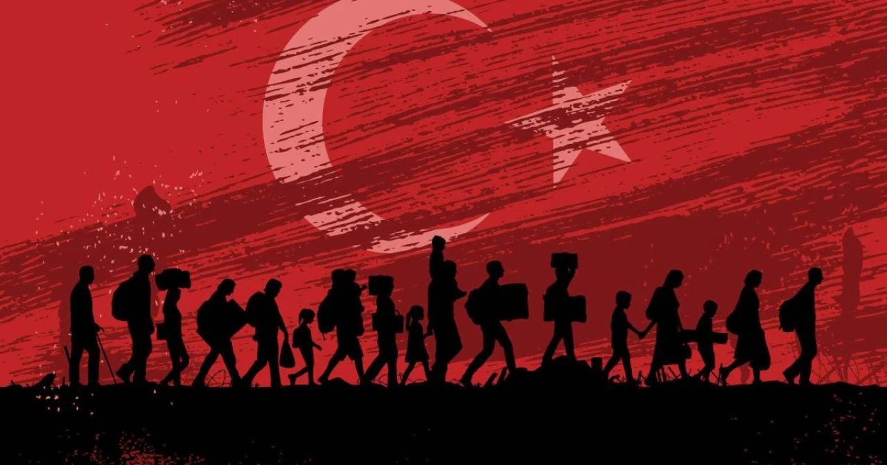 Araplaştırma ve Türkiye