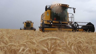 Tarımda Koruma ve Fakirleştiren bir Karşılaştırmalı Üstünlük Örneği